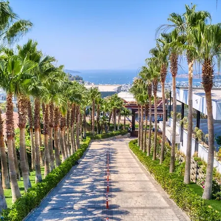 Hillstone & Отель Бодрум