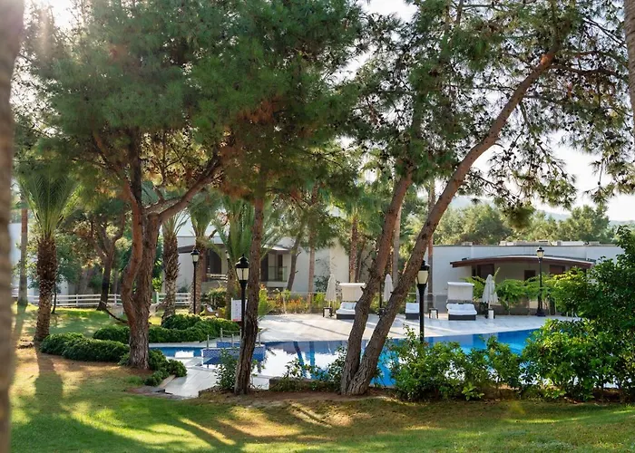 Hillstone & Bodrum