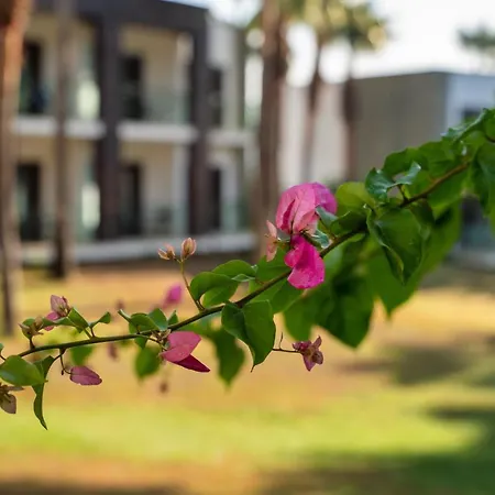 Hillstone & Hotel 5*