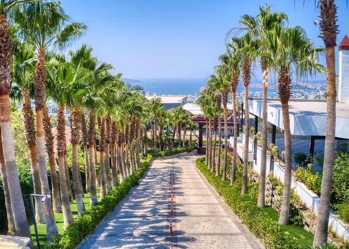 Hillstone & 호텔 Bodrum
