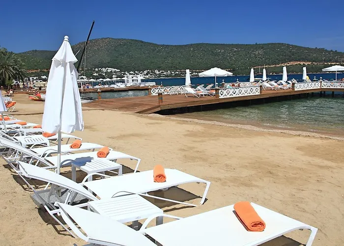 Hotel Hillstone &